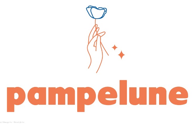 Pampelune Agency